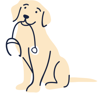 A dog with a stethoscope