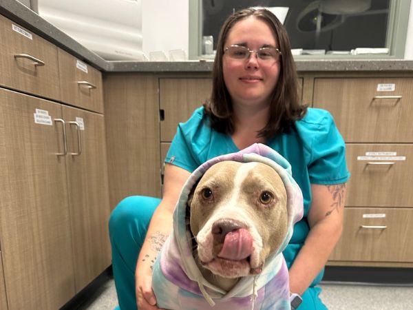 A woman in scrubs gently holds a dog
